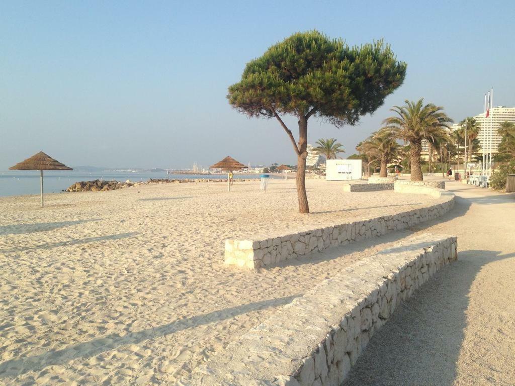 bel Appartement les pieds dans l'eau Villeneuve-Loubet Extérieur photo